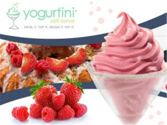 Photo of Yogurtini
